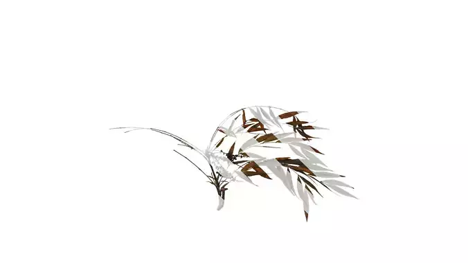 Anydrafts Mahonia fortunei Atlas 05