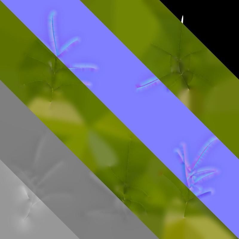 Anydrafts Sanvitalia procumbens Leaf 04 Texture_8