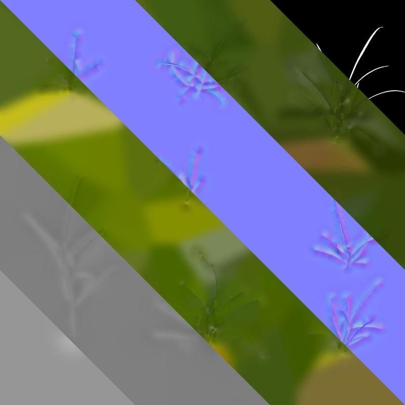 Anydrafts Sanvitalia procumbens Leaf 05 Texture_8