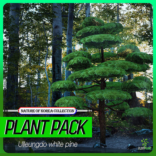 Korean Endemic Species Plant - 4 Ulleung white pine Tree Low-poly 3D model