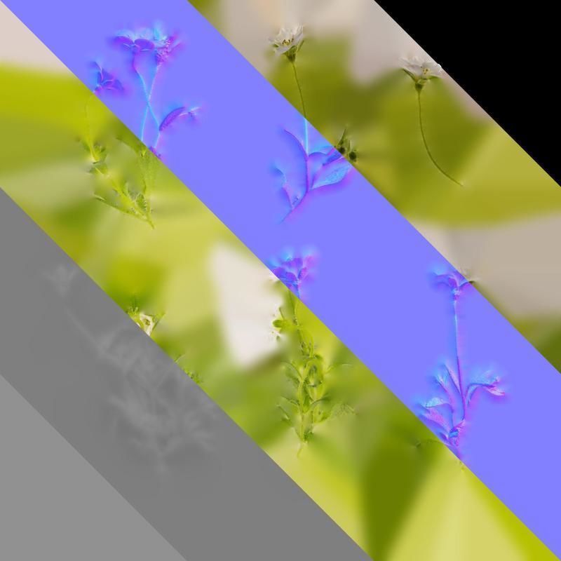 Anydrafts Saxifraga hirculus Atlas 02 Texture_8