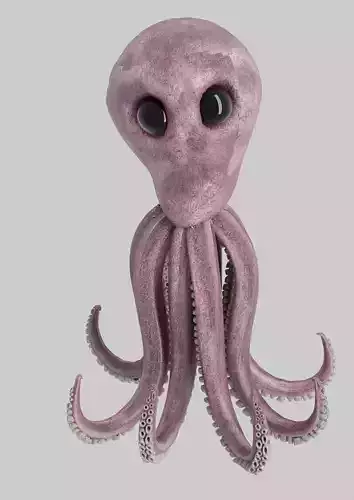 Octopus 