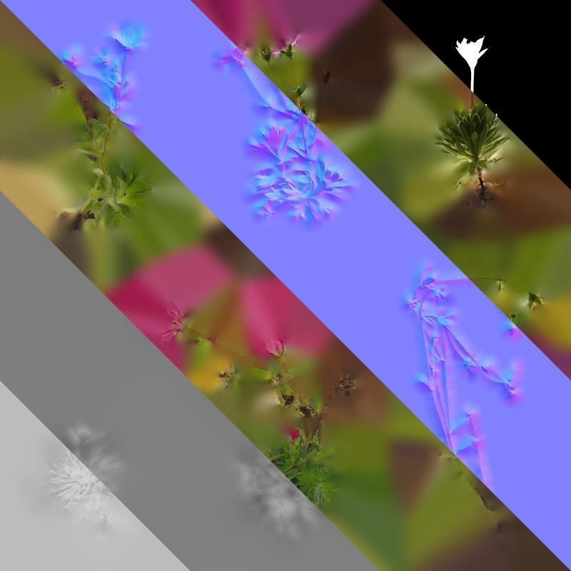 Anydrafts Saxifraga hirculus Atlas 06 Texture_8