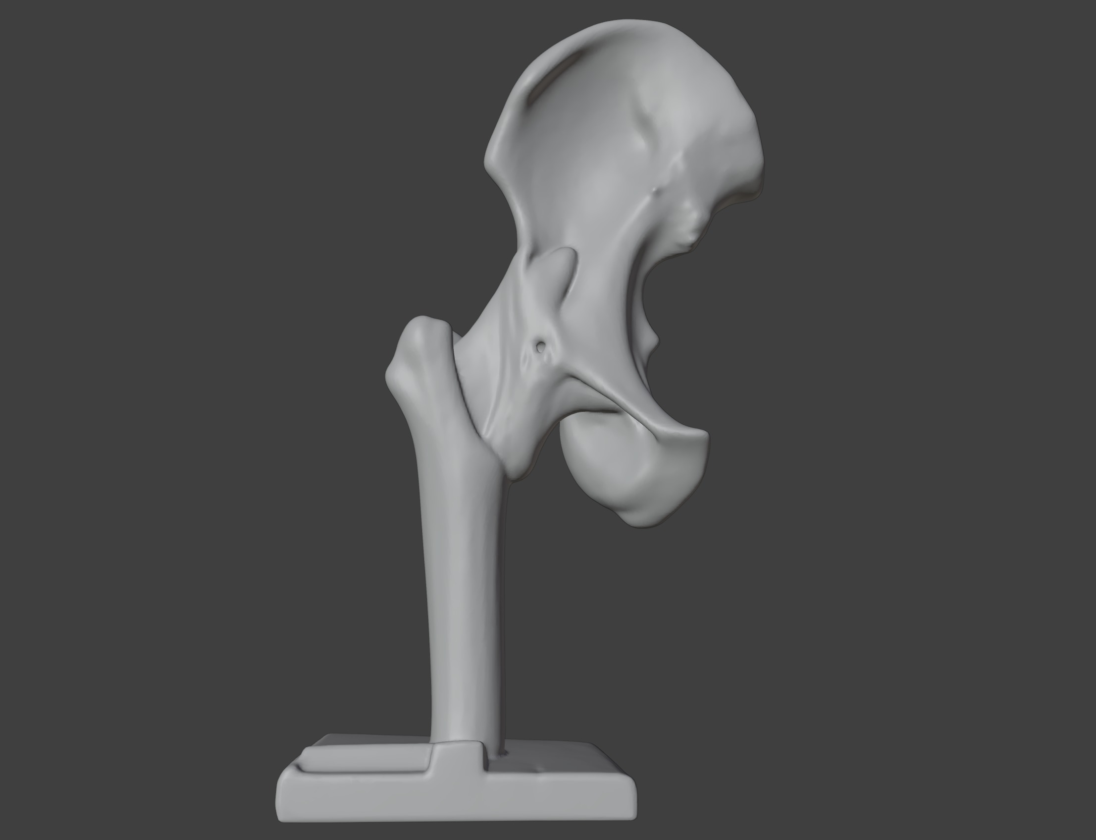 3D Hip Joint Anatomy Model 3D print model_11
