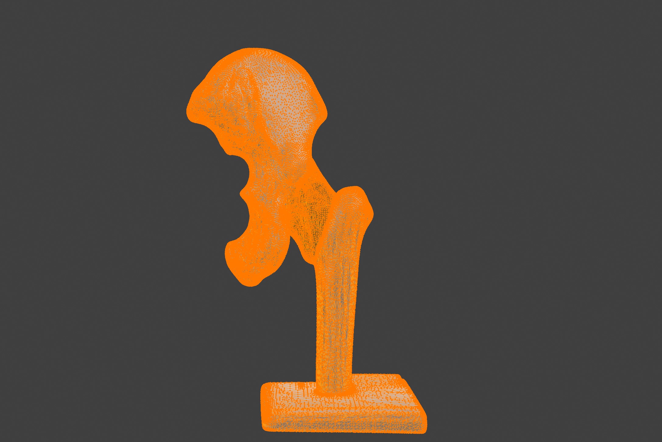 3D Hip Joint Anatomy Model 3D print model_13