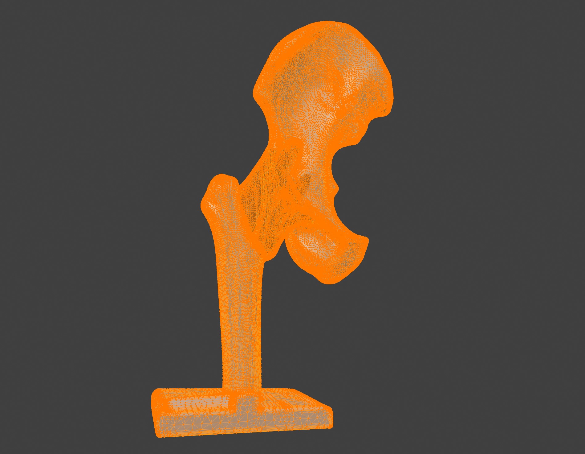 3D Hip Joint Anatomy Model 3D print model_8