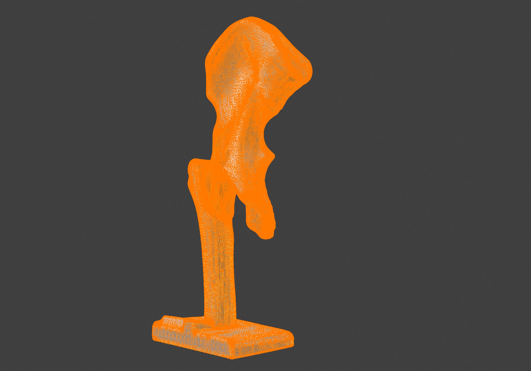 3D Hip Joint Anatomy Model 3D print model_12