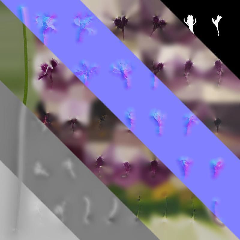 Anydrafts Scabiosa atropurpurea Flower 03 Texture_8