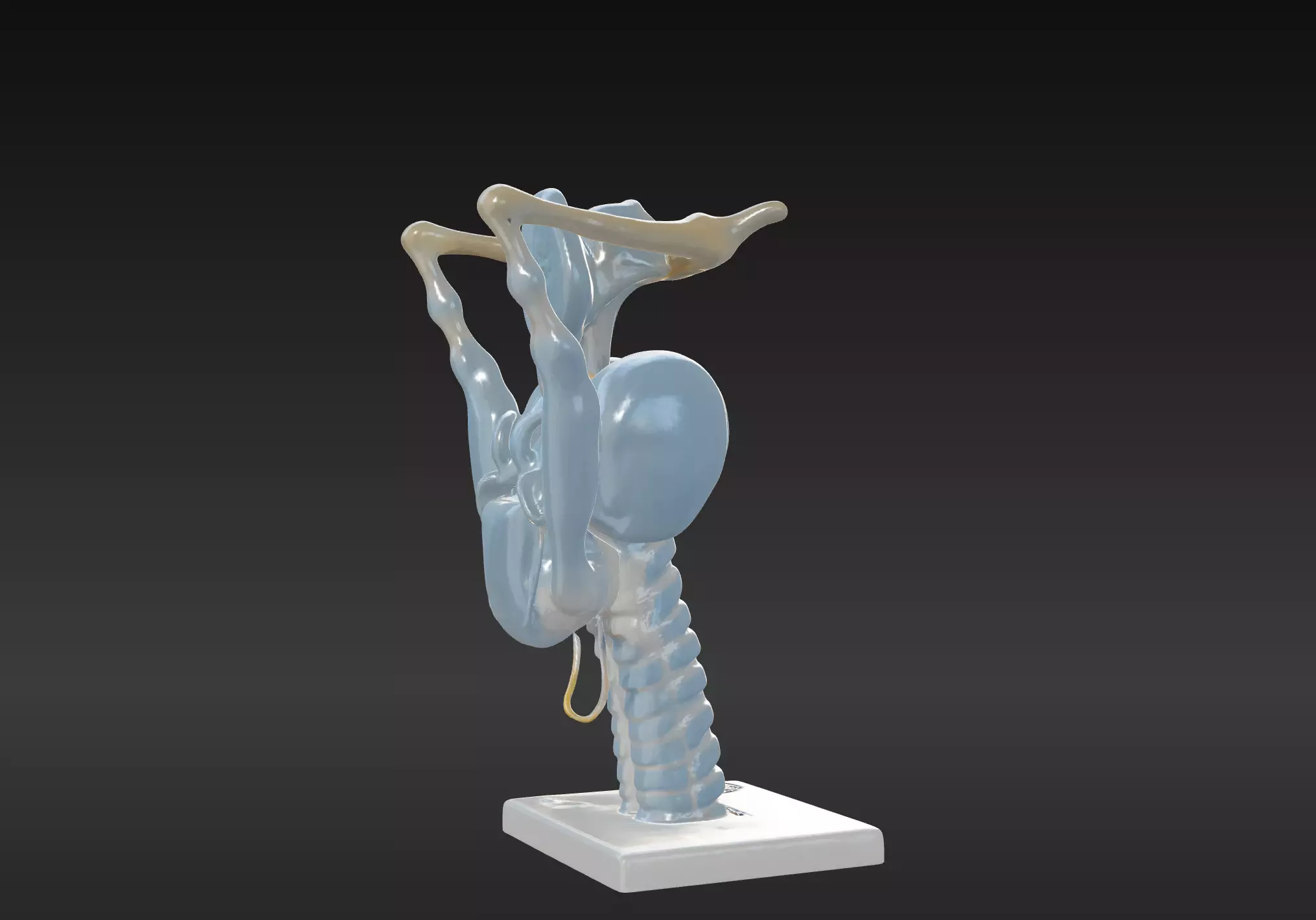 3D Model of Human Larynx Anatomy with Stand 3D print model_0