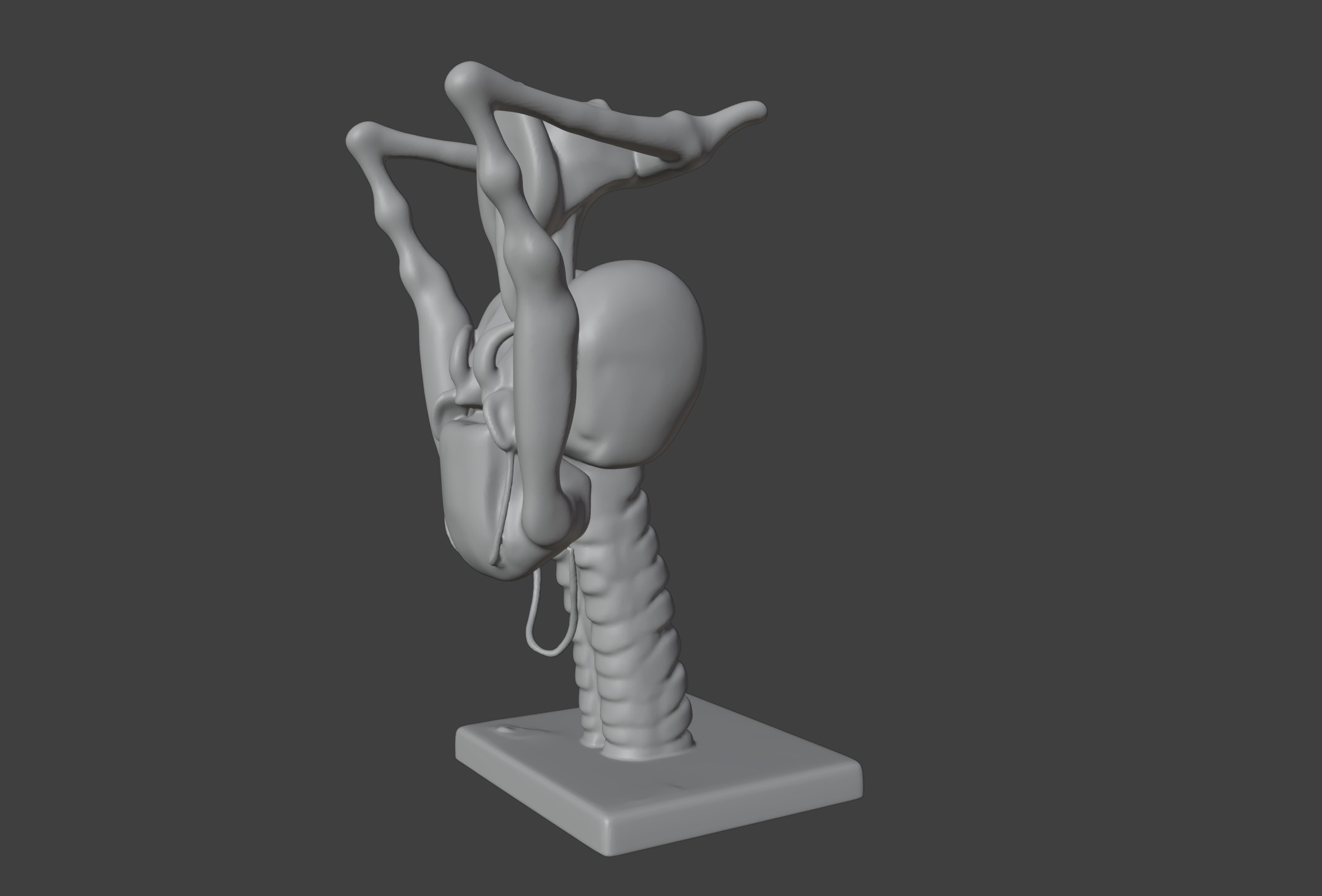 3D Model of Human Larynx Anatomy with Stand 3D print model_10