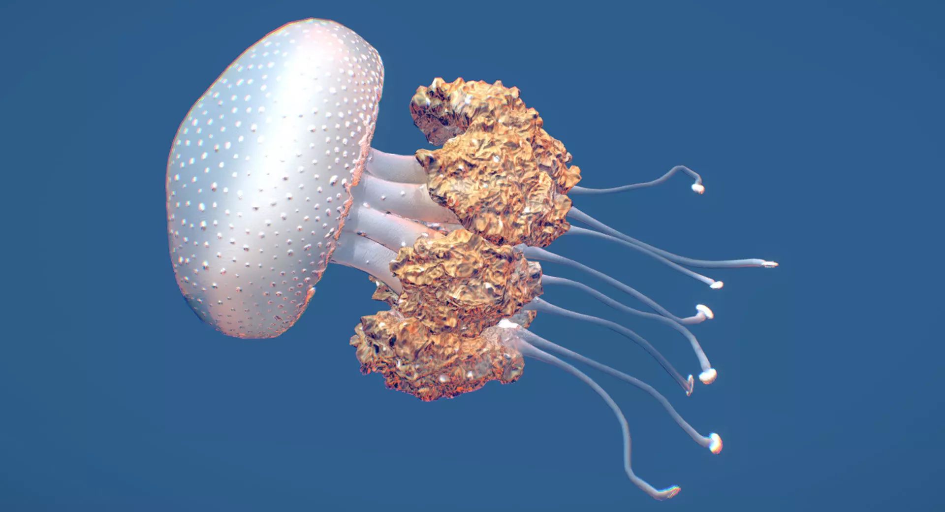 White-Spotted Jellyfish 3D model_0