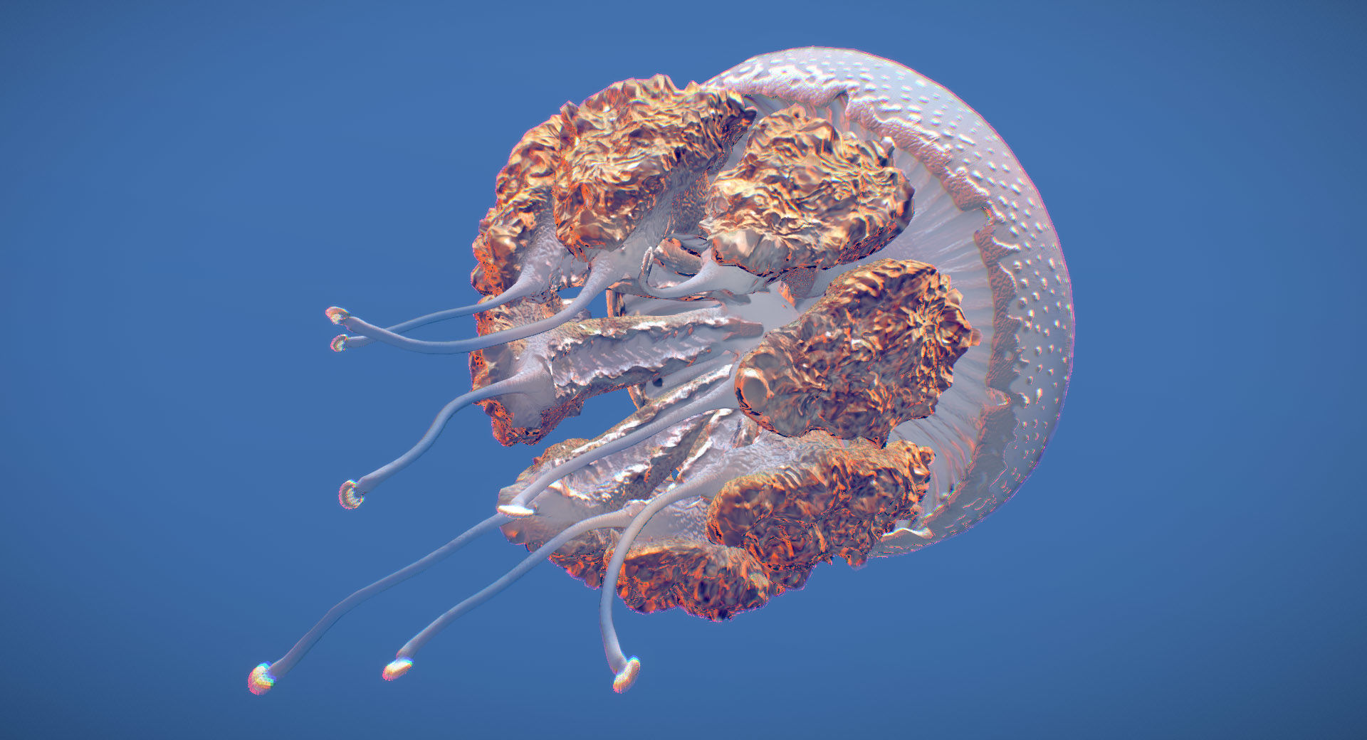White-Spotted Jellyfish 3D model_3