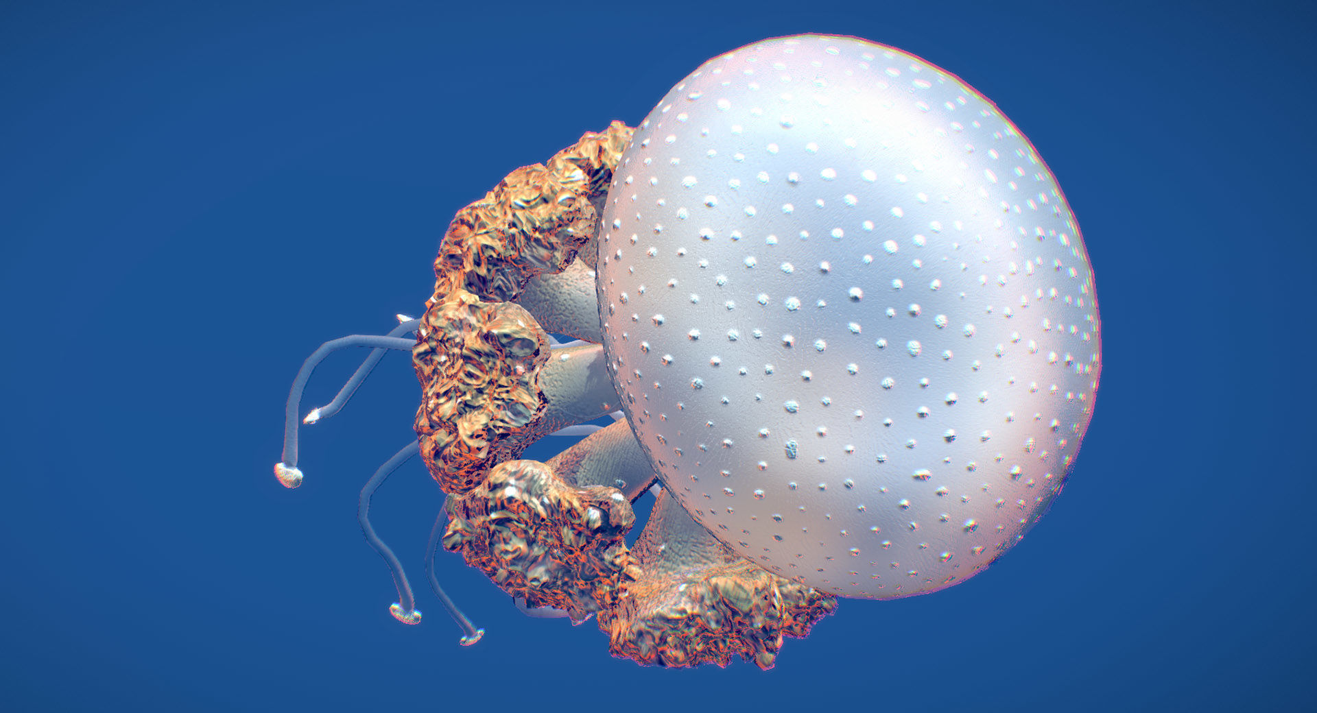 White-Spotted Jellyfish 3D model_2