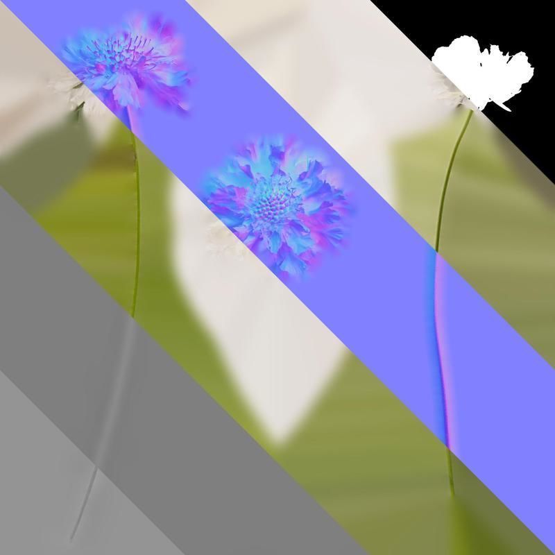 Anydrafts Scabiosa comosa Flower 04 Texture_8