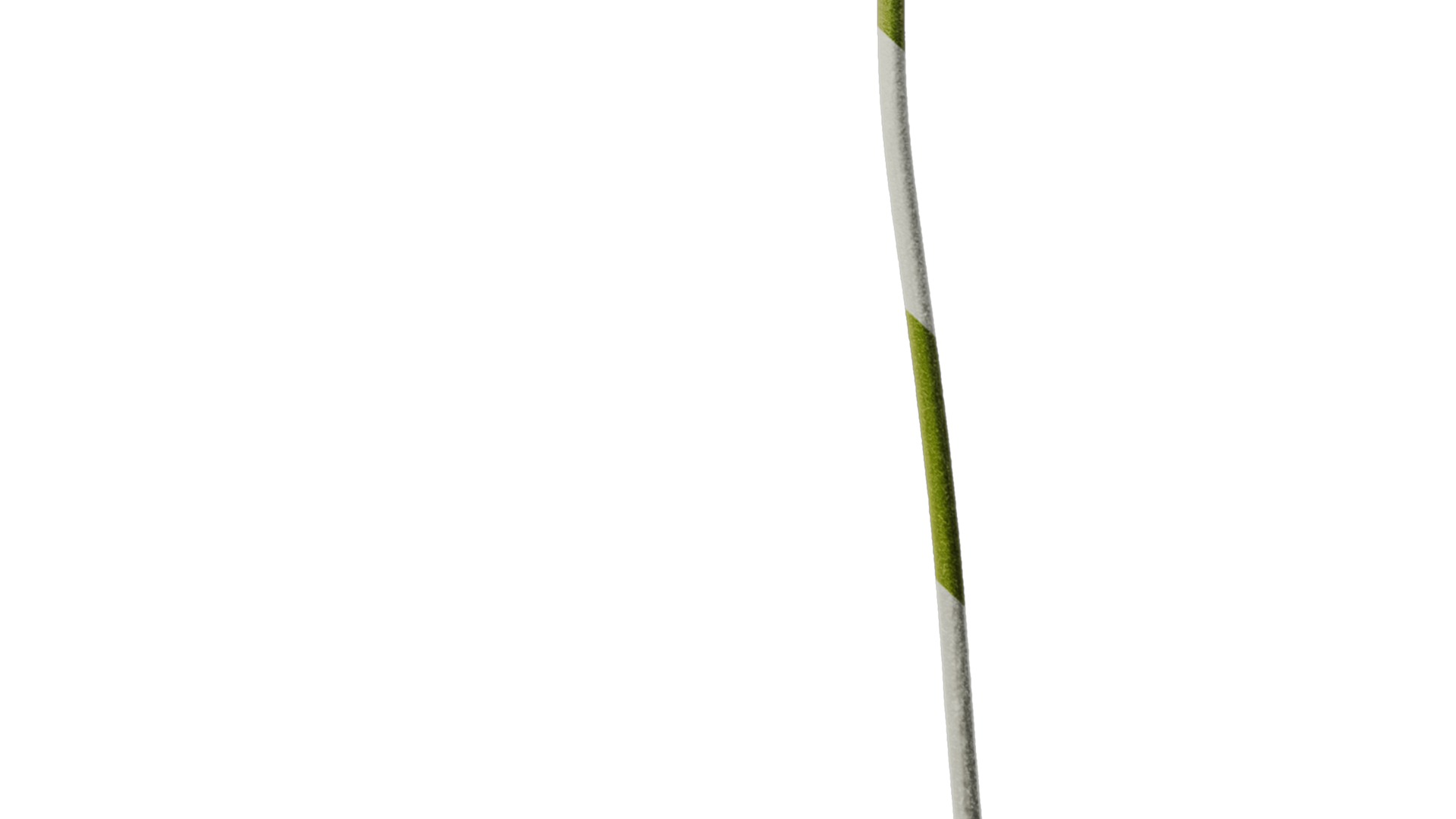 Anydrafts Scabiosa comosa Flower 04 Texture_6