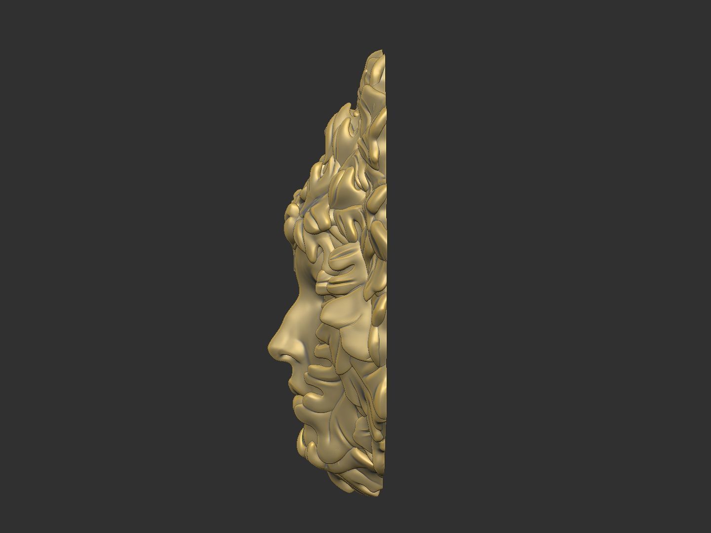 The girl face with leave 3D print model_5