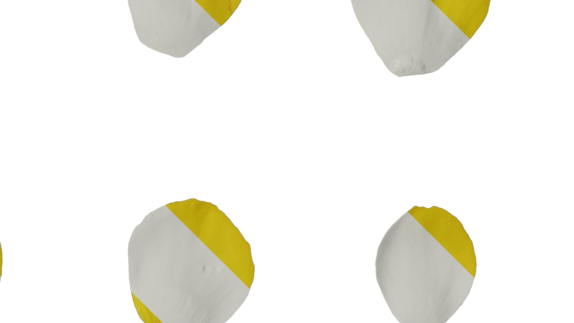 Anydrafts Scoparia melongolly yellow Flower 02 Texture_2