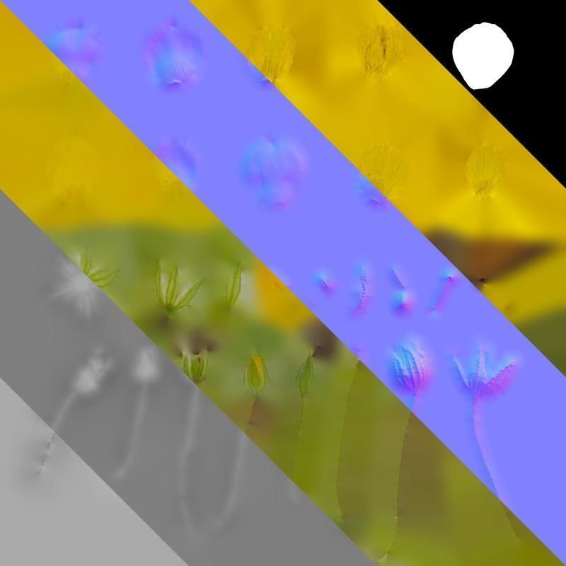 Anydrafts Scoparia melongolly yellow Flower 02 Texture_8