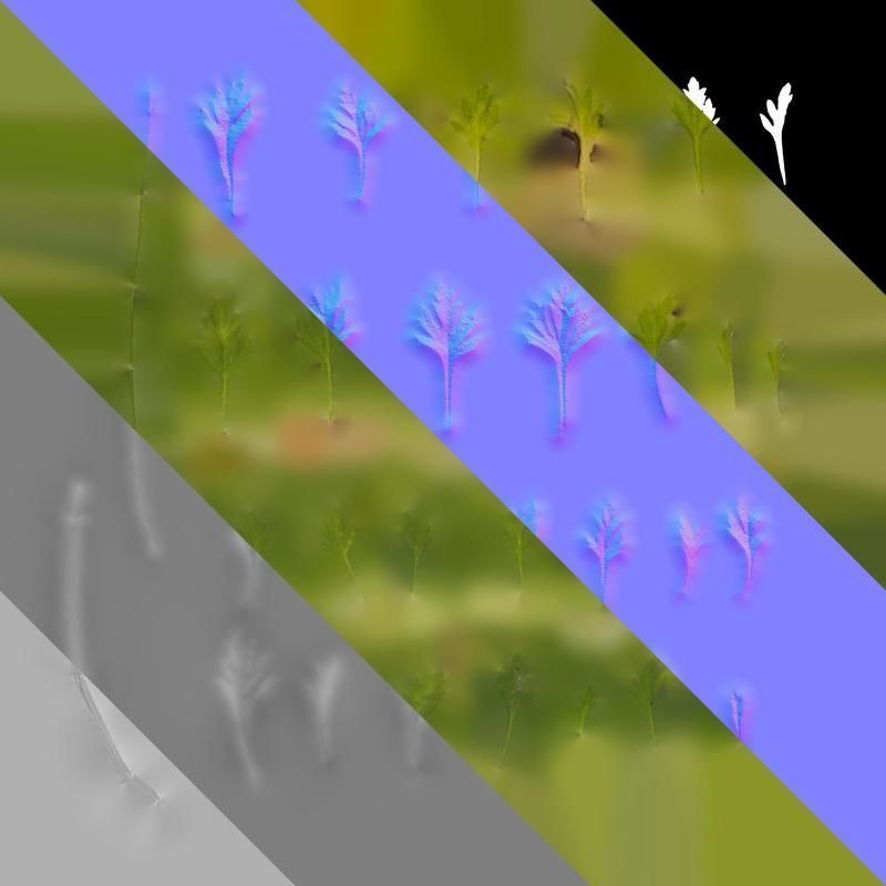 Anydrafts Scoparia melongolly yellow Leaf 01 Texture_8