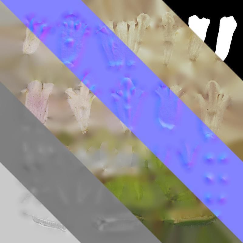 Anydrafts Sesamum indicum Atlas 01 Texture_8