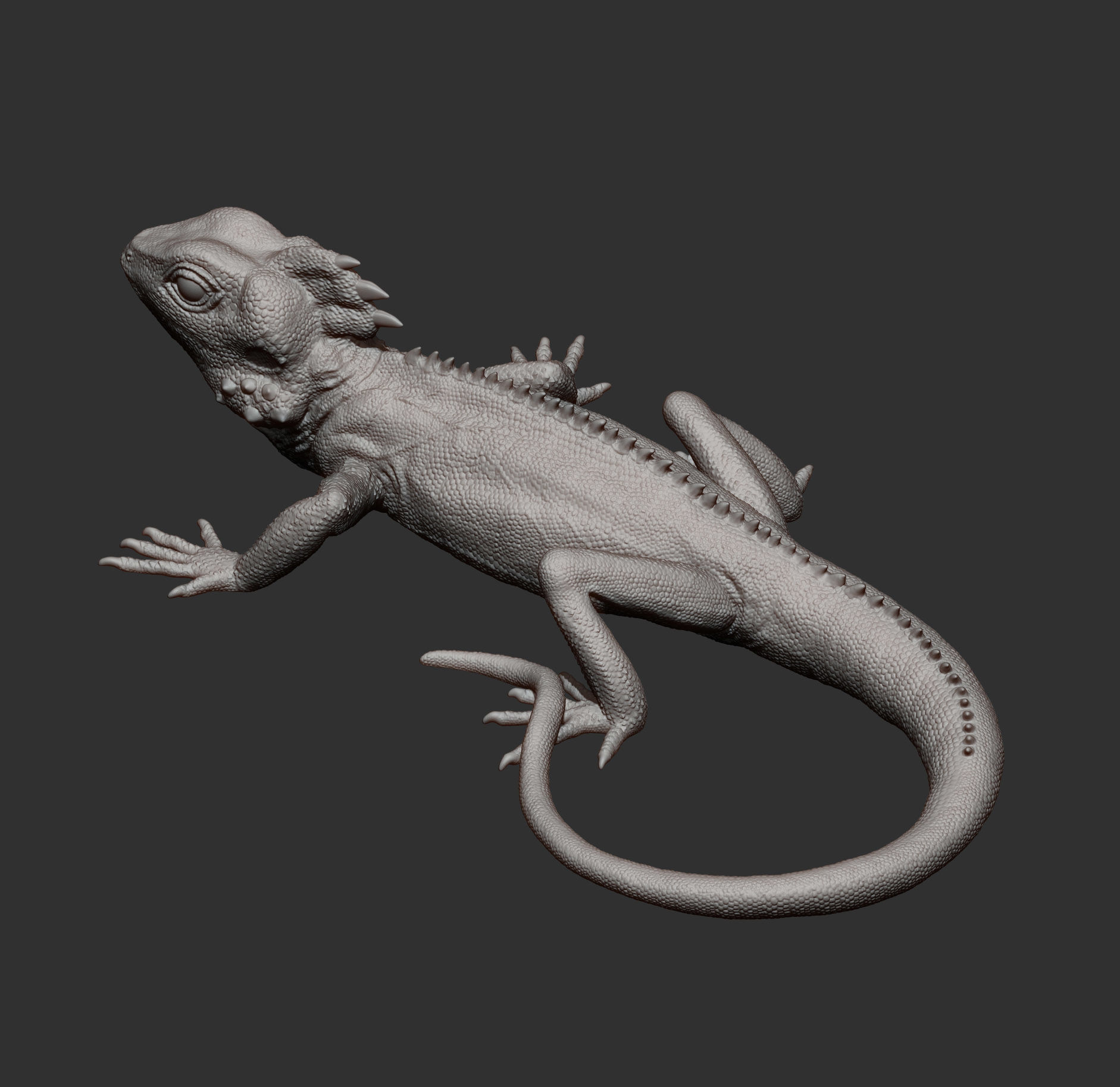 Boyds forest dragon 3D print model_11