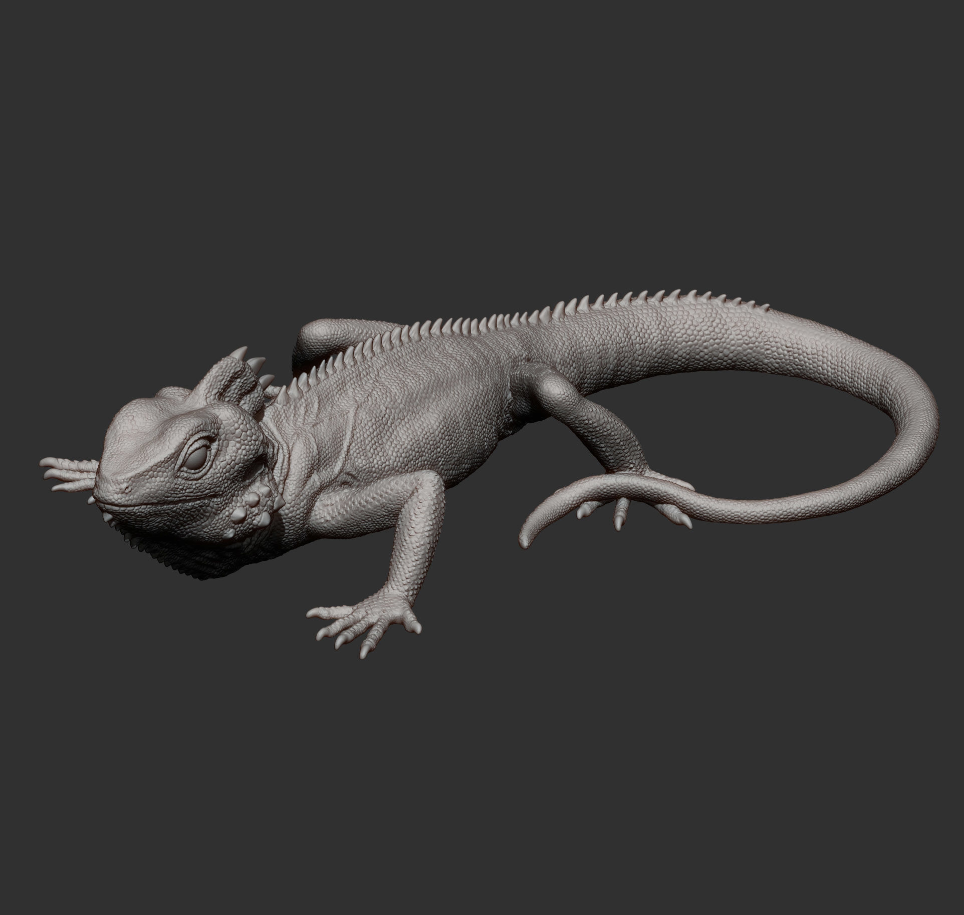 Boyds forest dragon 3D print model_9