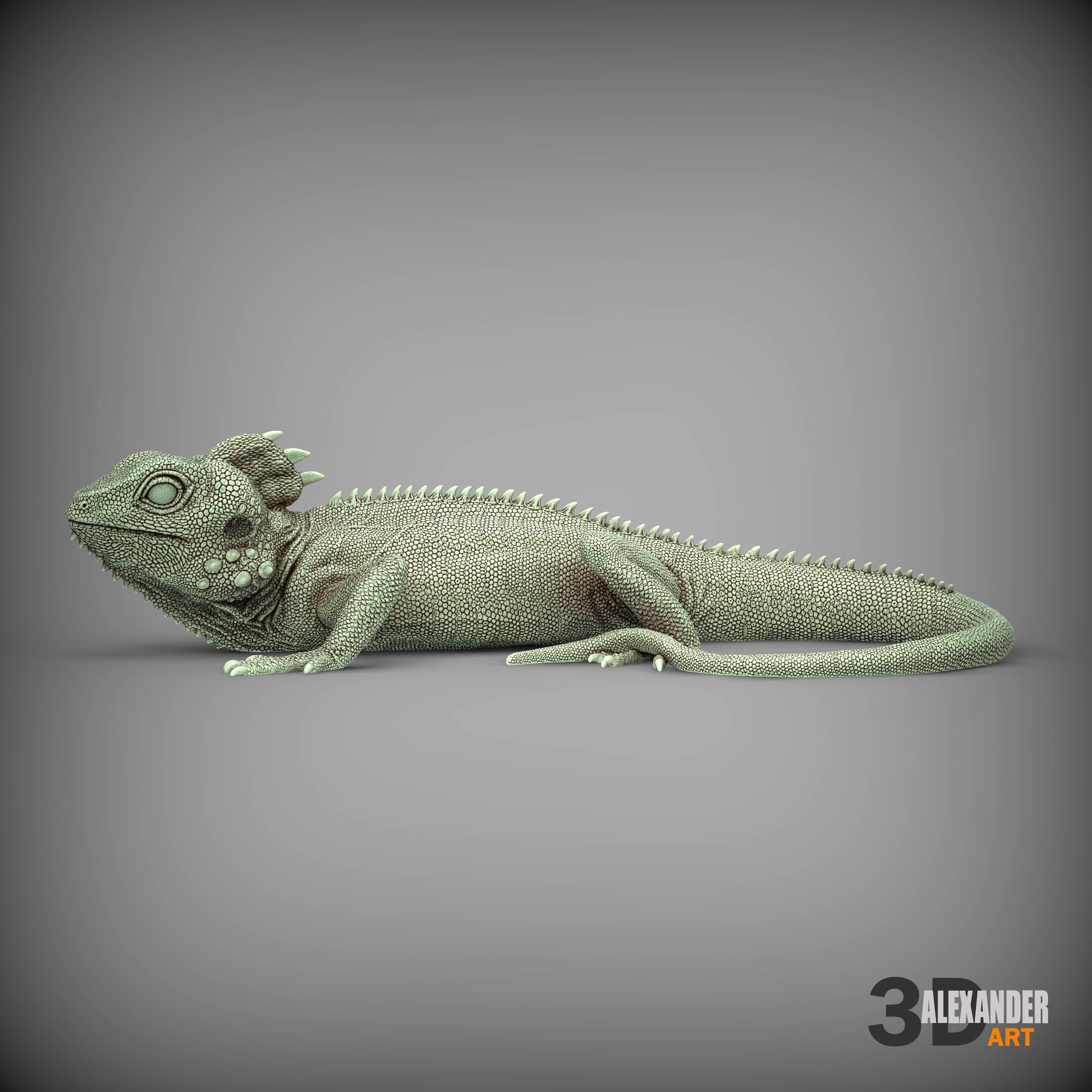 Boyds forest dragon 3D print model_5