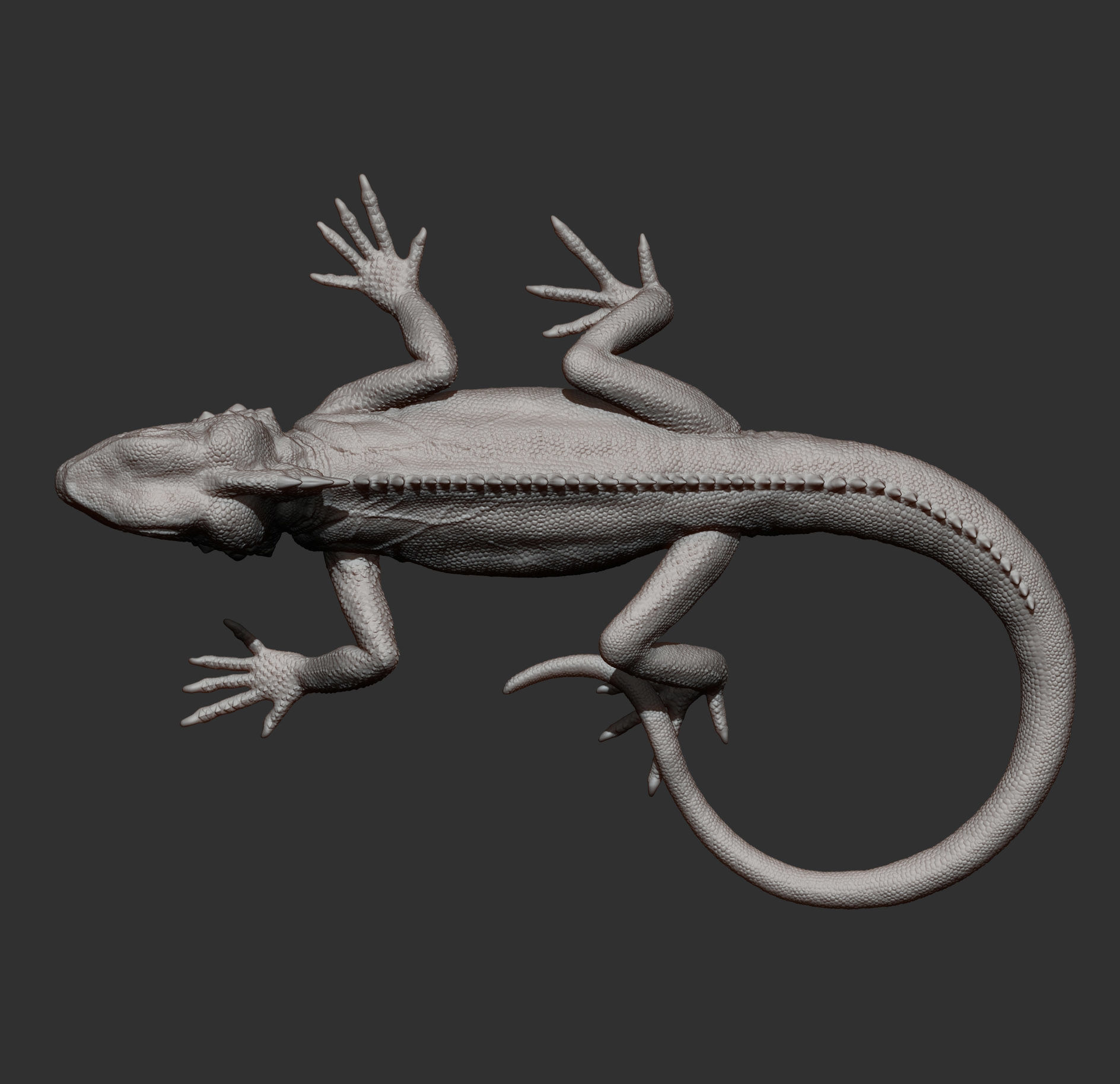 Boyds forest dragon 3D print model_13