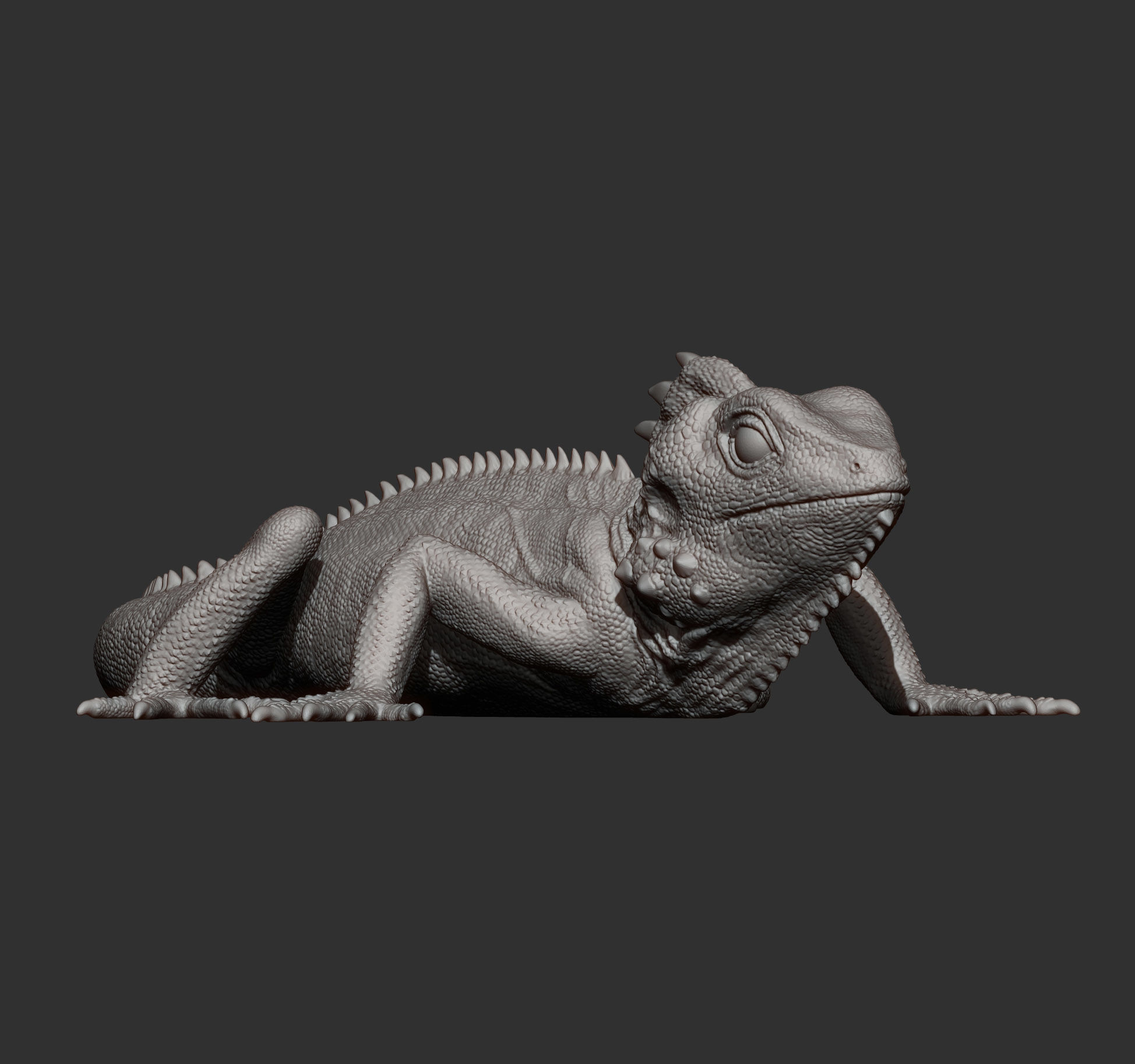 Boyds forest dragon 3D print model_16