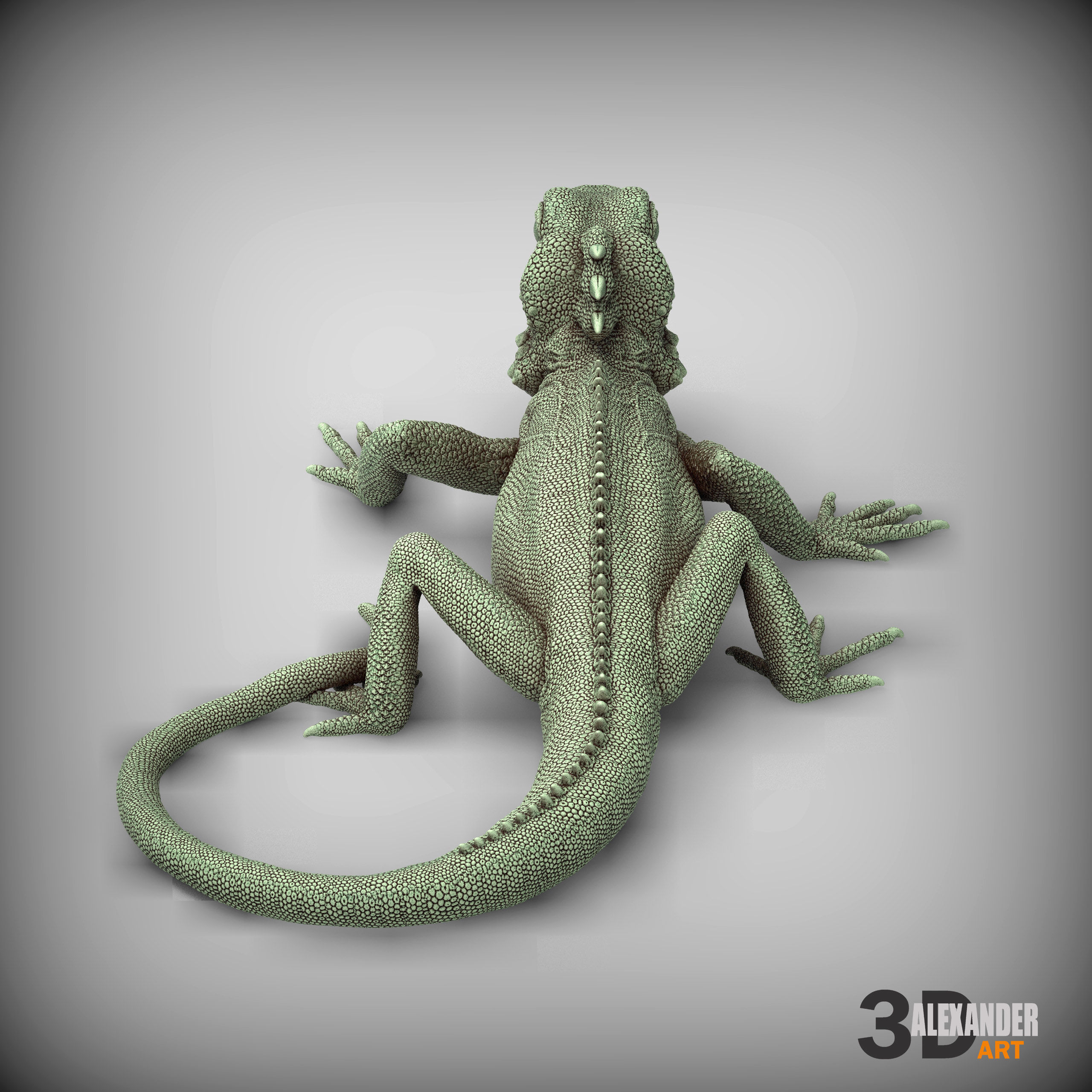 Boyds forest dragon 3D print model_7
