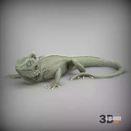 Boyds forest dragon 3D print model