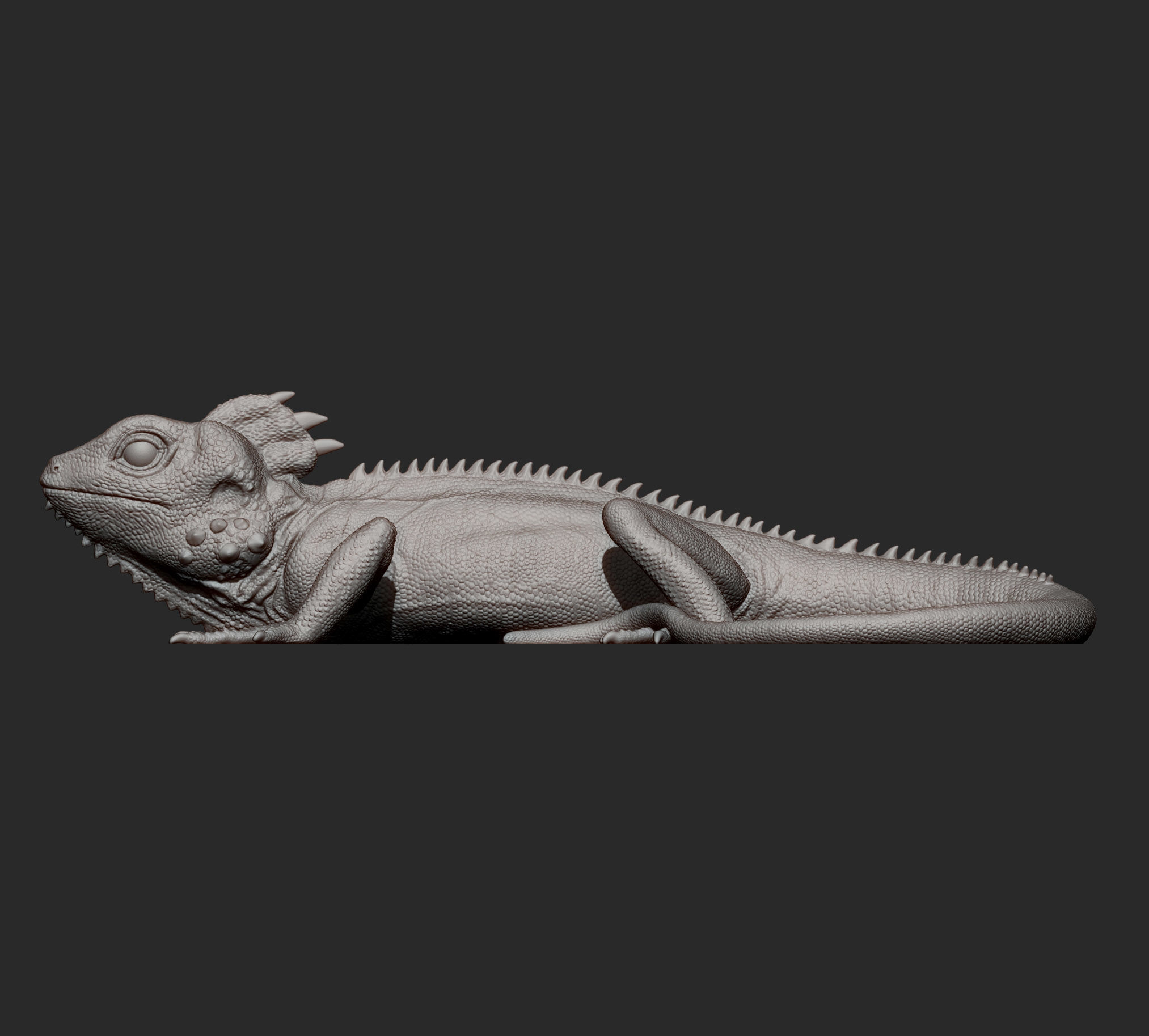 Boyds forest dragon 3D print model_12