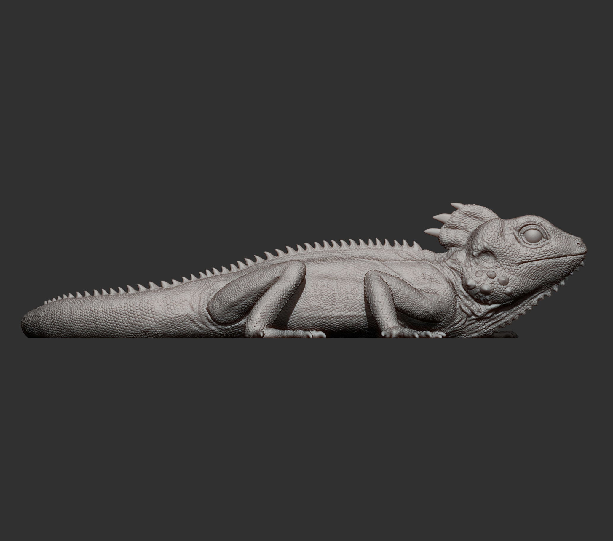 Boyds forest dragon 3D print model_14