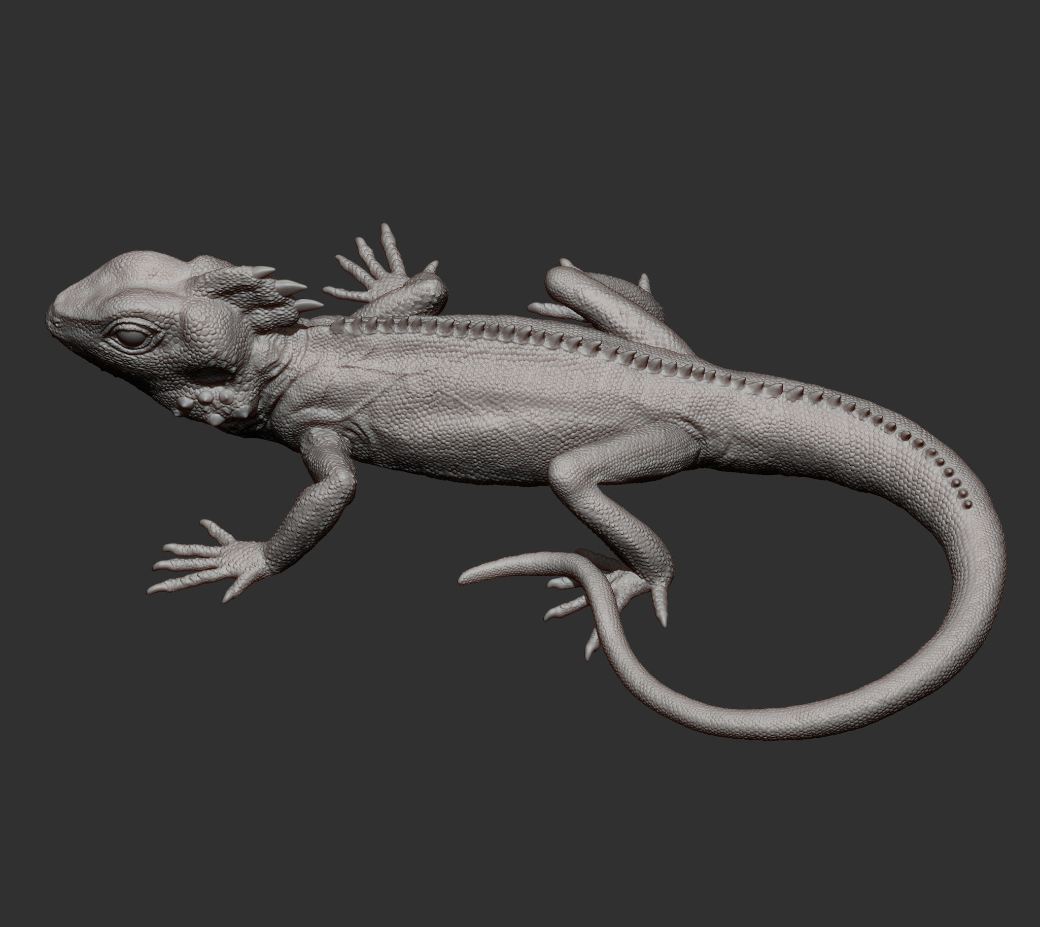 Boyds forest dragon 3D print model_15
