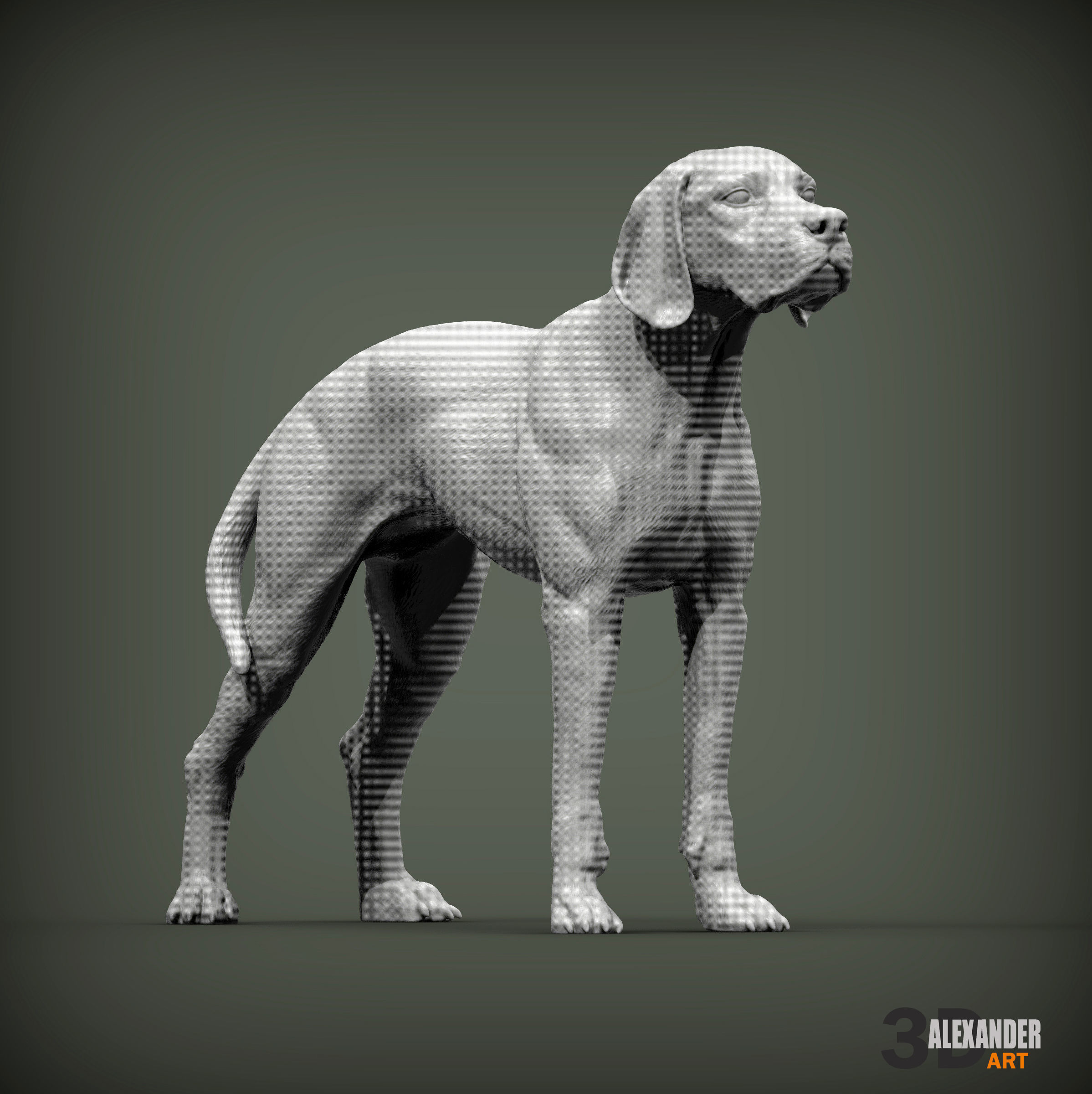 English Pointer 3D print model_1