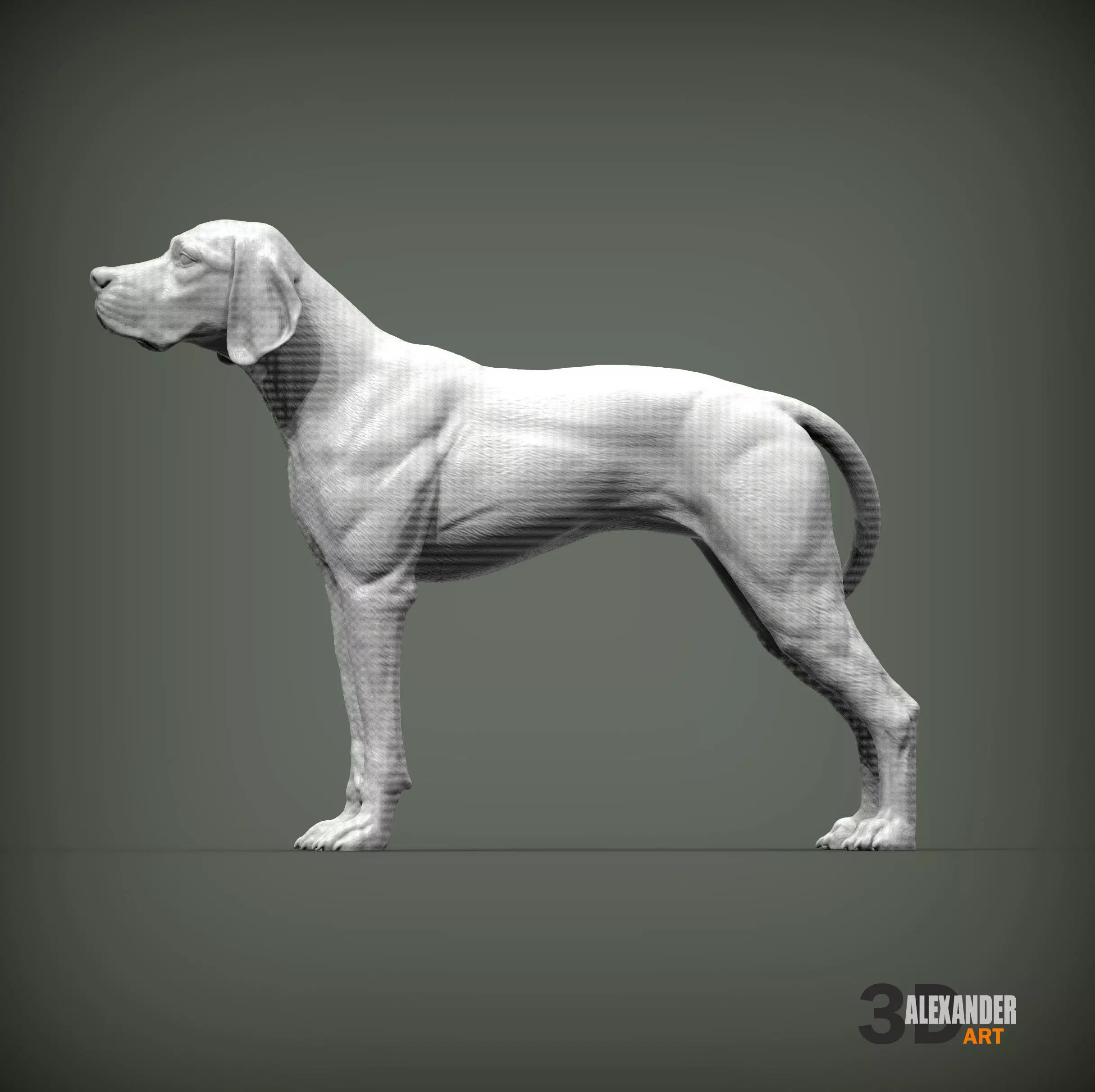 English Pointer 3D print model_0