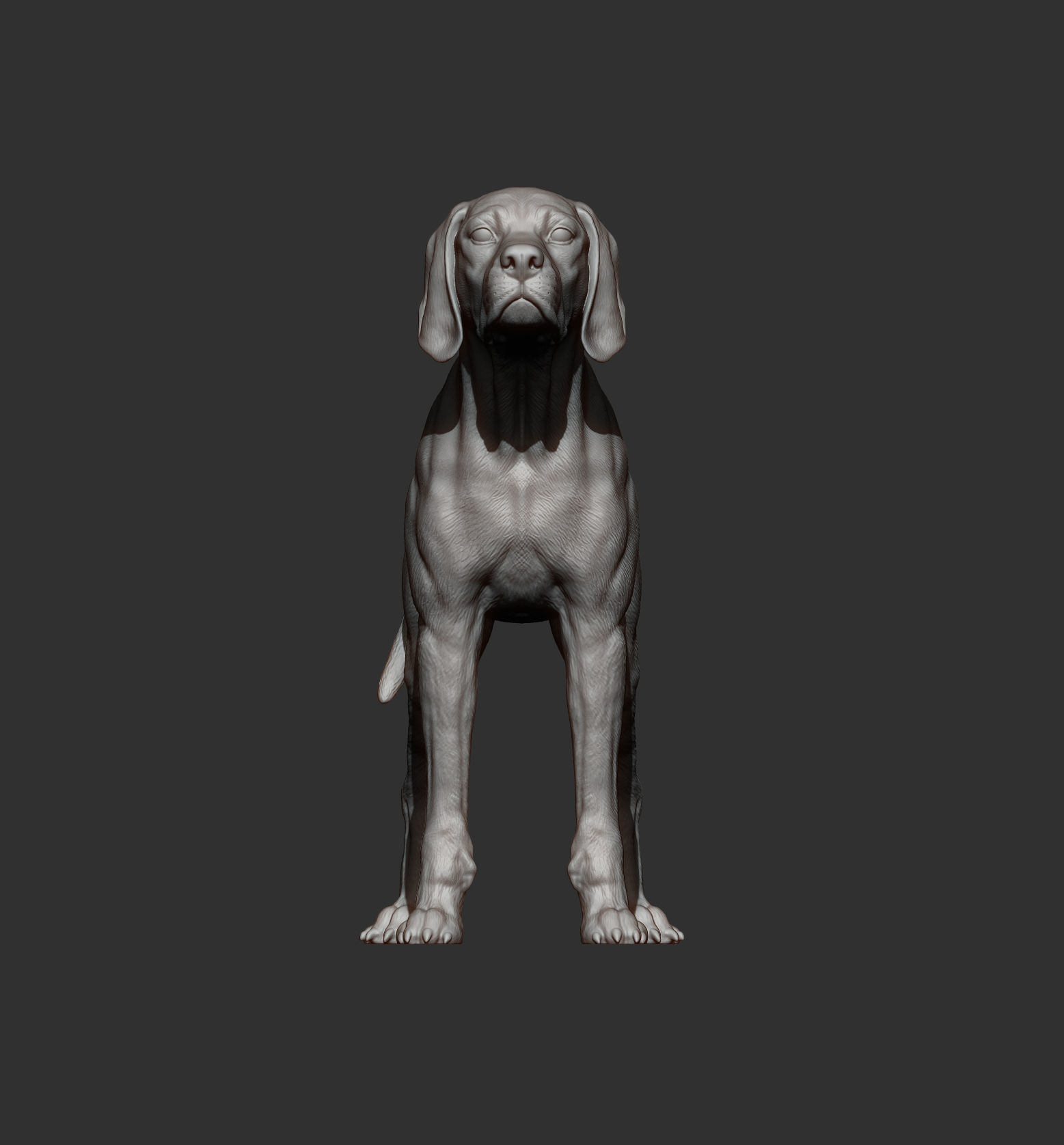 English Pointer 3D print model_7