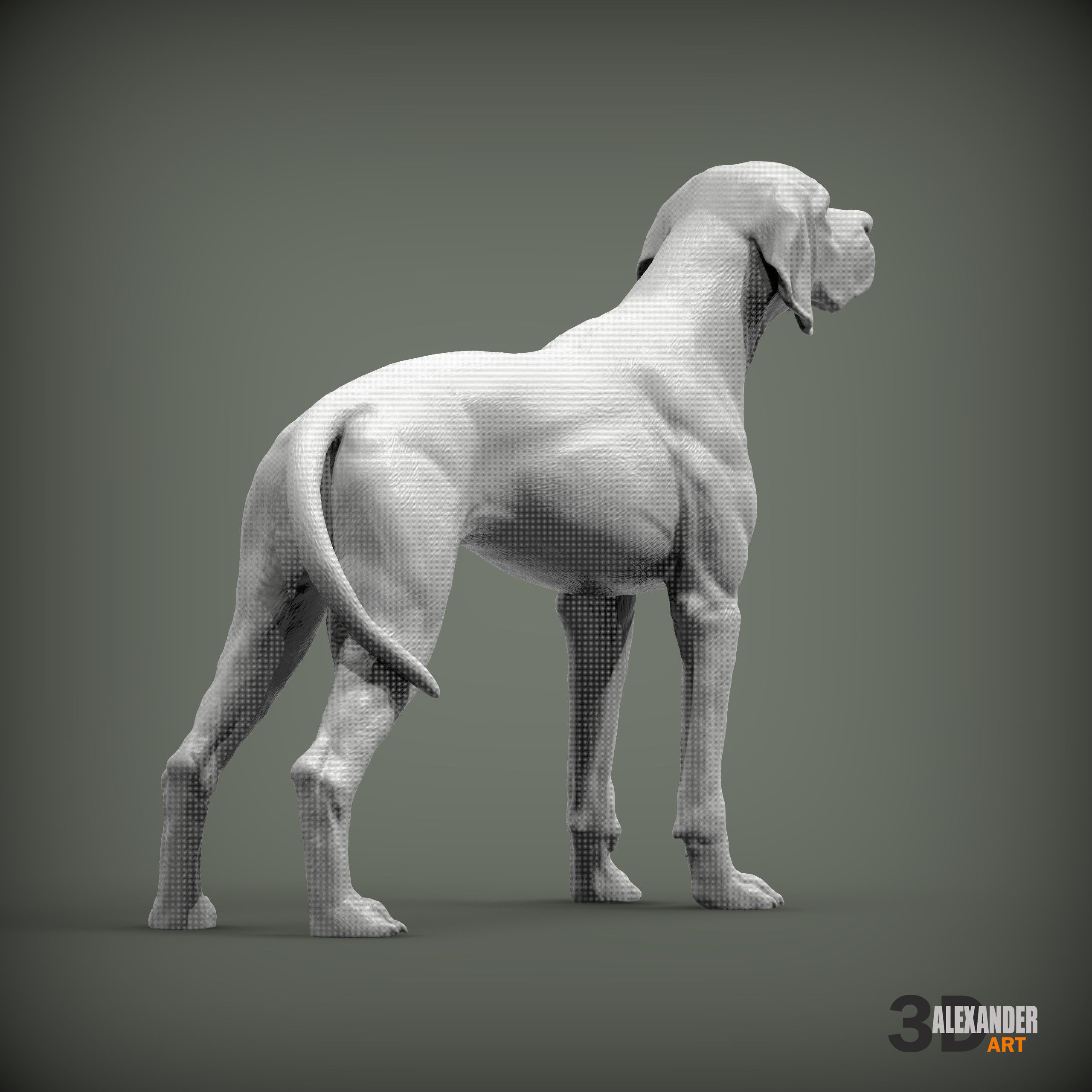 English Pointer 3D print model_5