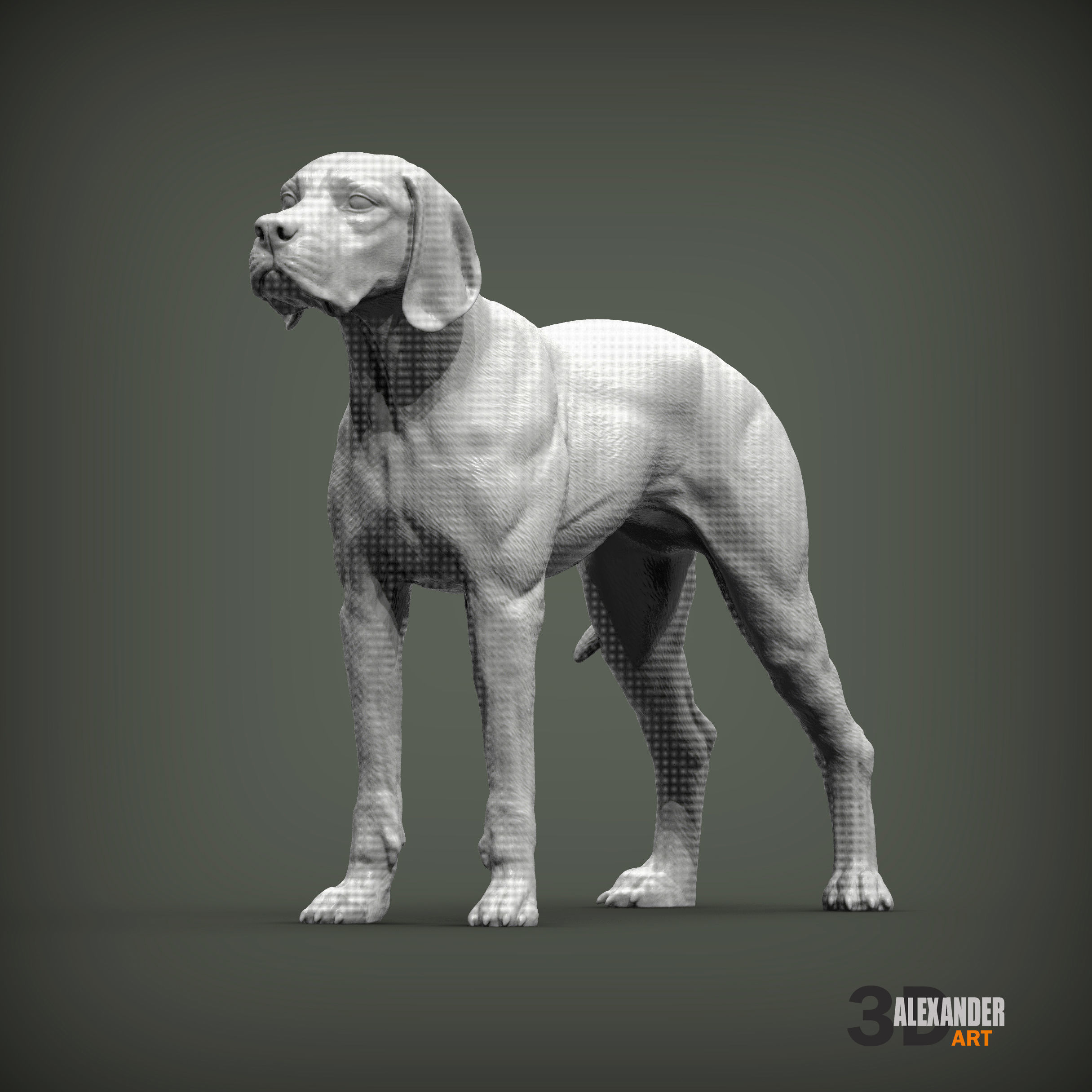 English Pointer 3D print model_2