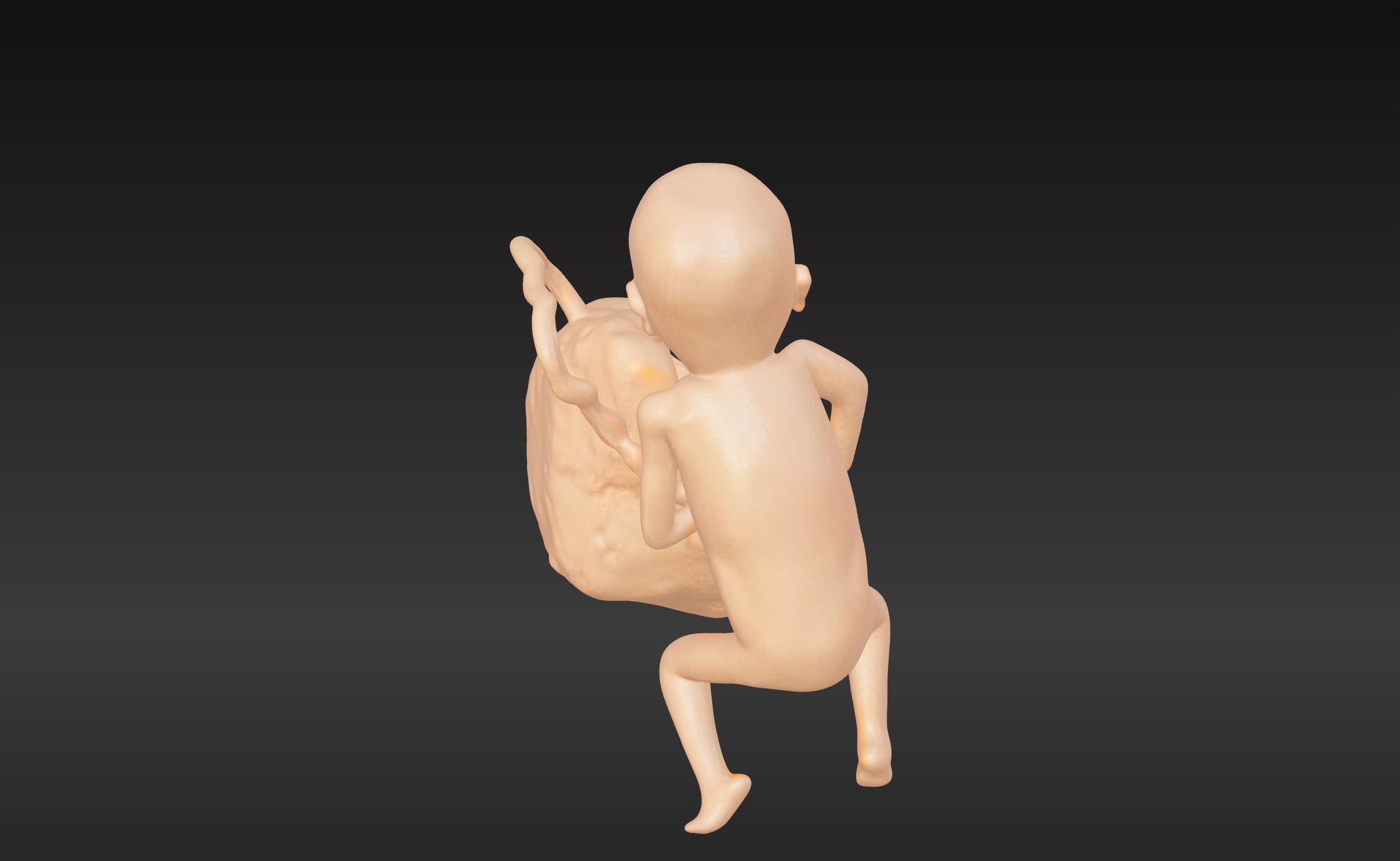 3D Model of Lifeform Human Fetus Replica - 5 Month Female 3D print model_3