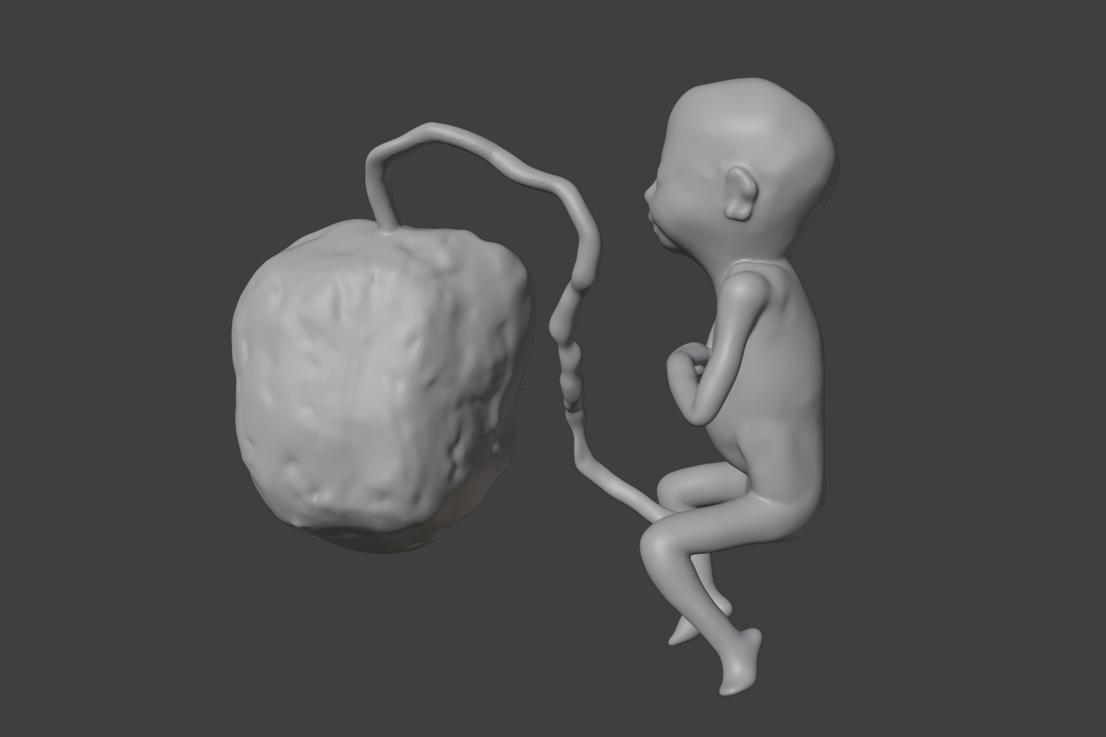 3D Model of Lifeform Human Fetus Replica - 5 Month Female 3D print model_8