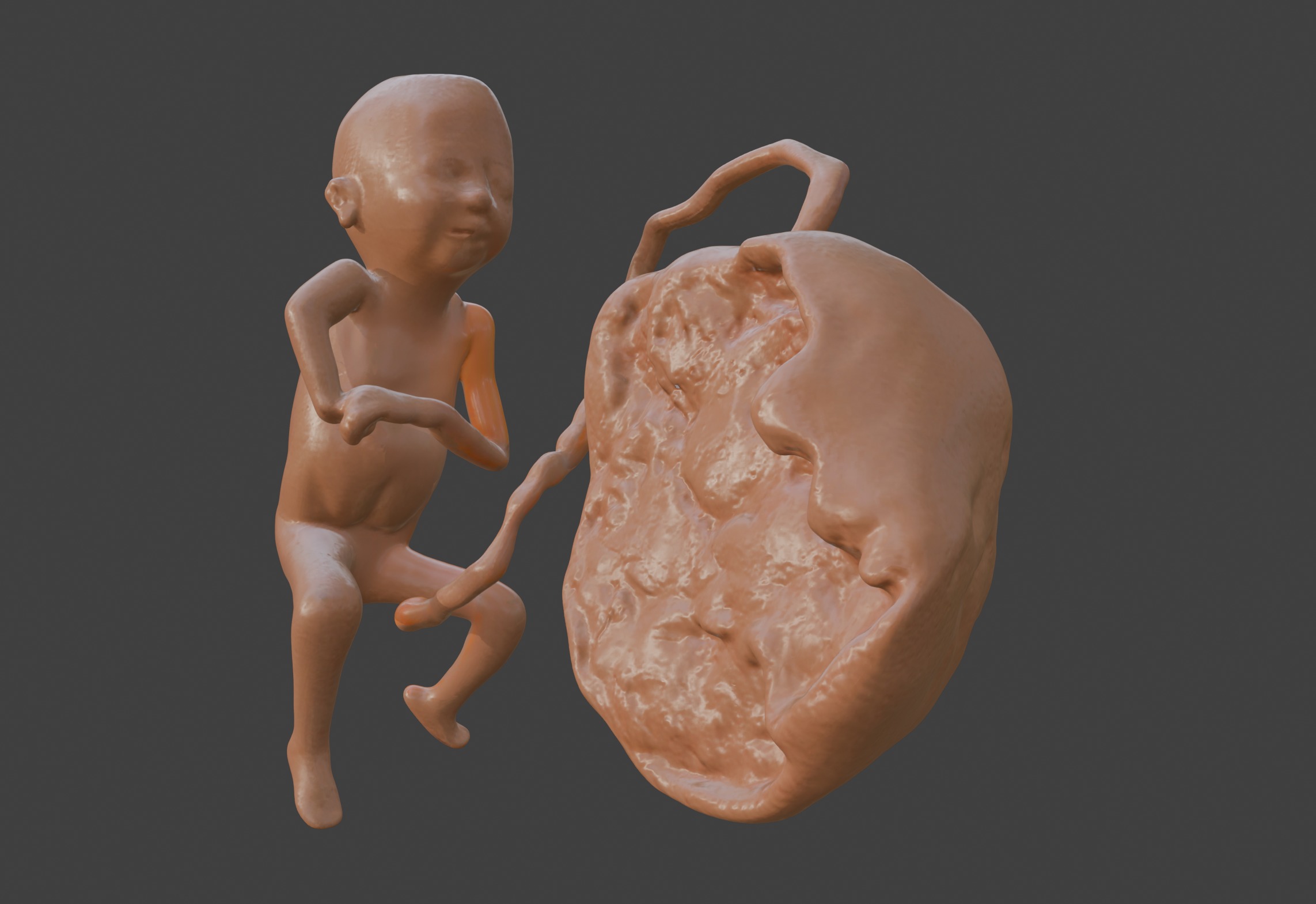3D Model of Lifeform Human Fetus Replica - 5 Month Female 3D print model_4