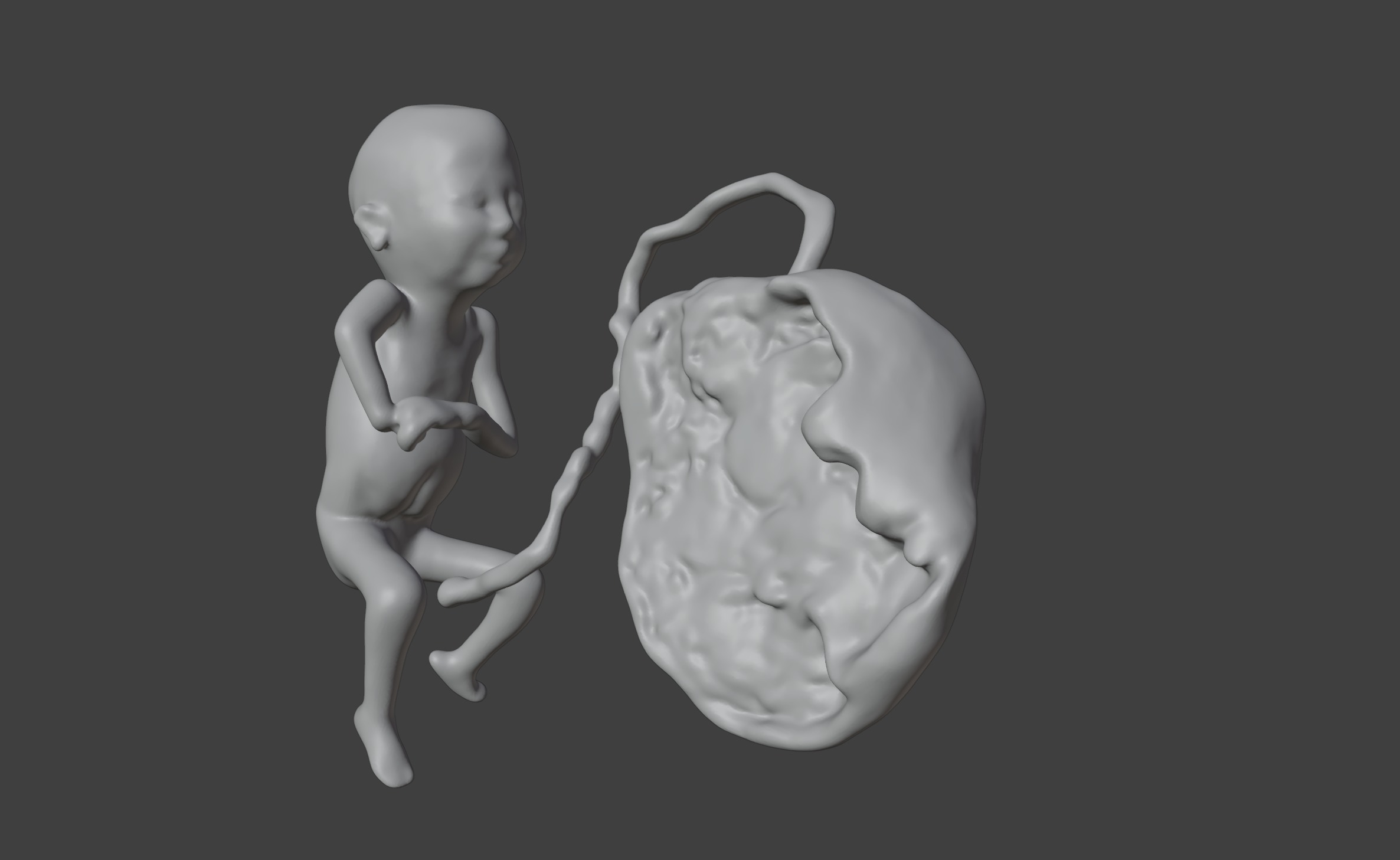 3D Model of Lifeform Human Fetus Replica - 5 Month Female 3D print model_9