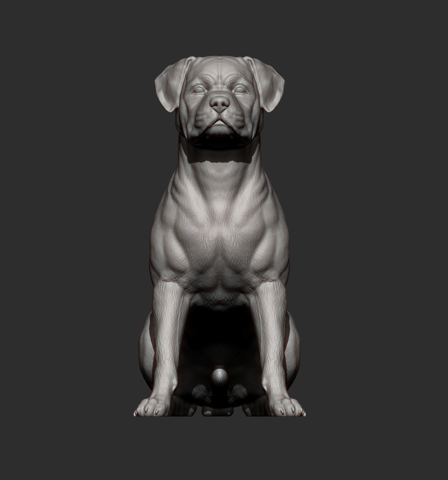 Rottweiler is sitting 3D print model_6