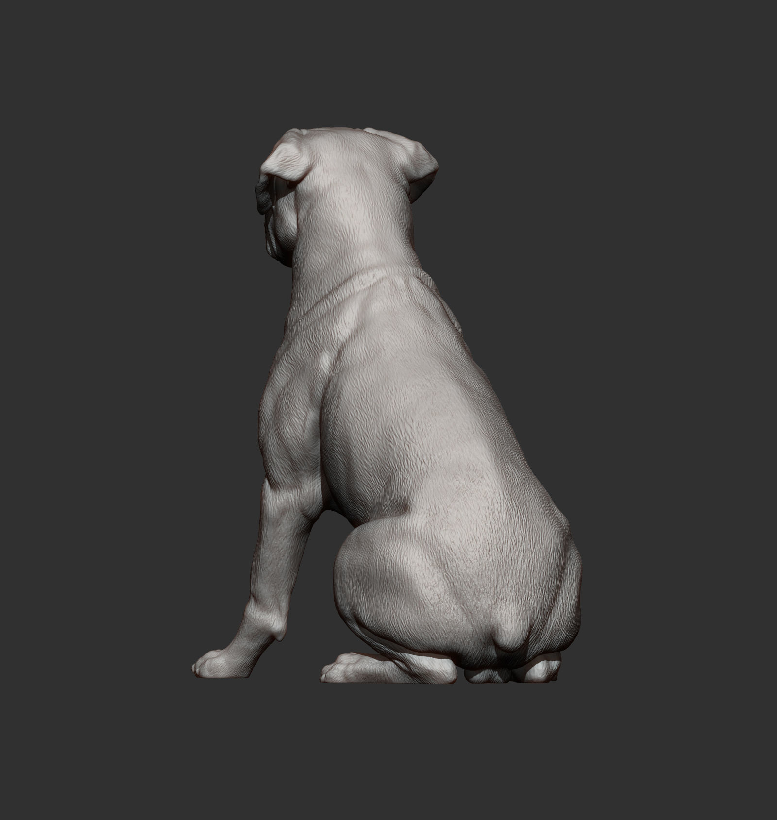 Rottweiler is sitting 3D print model_7