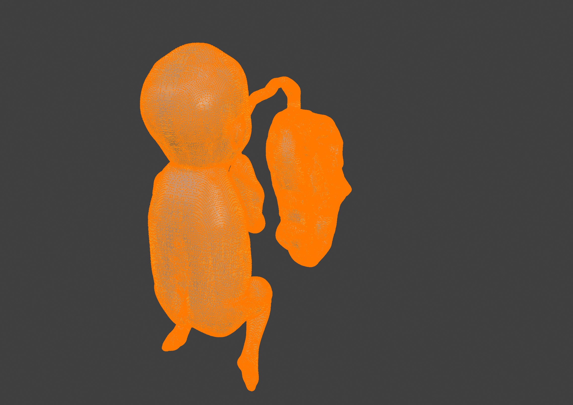 3D Model of Lifeform Human Fetus Replica - 5 Month Male 3D print model_5