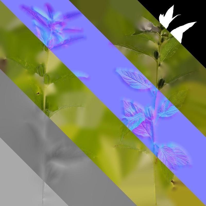 Anydrafts Sesamum indicum Atlas 04 Texture_8