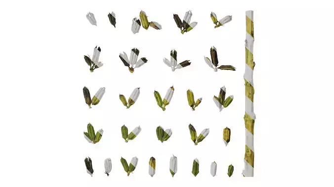 Anydrafts Sesamum indicum Fruit 01