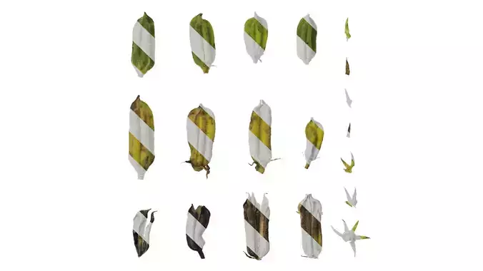 Anydrafts Sesamum indicum Fruit 02