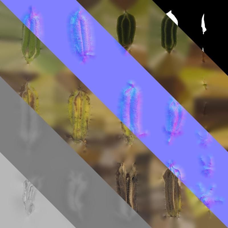 Anydrafts Sesamum indicum Fruit 02 Texture_8